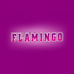 Flamingo Club Casino withdrawal time